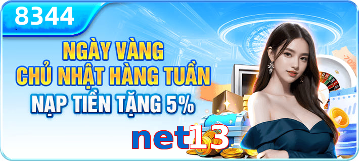 net13