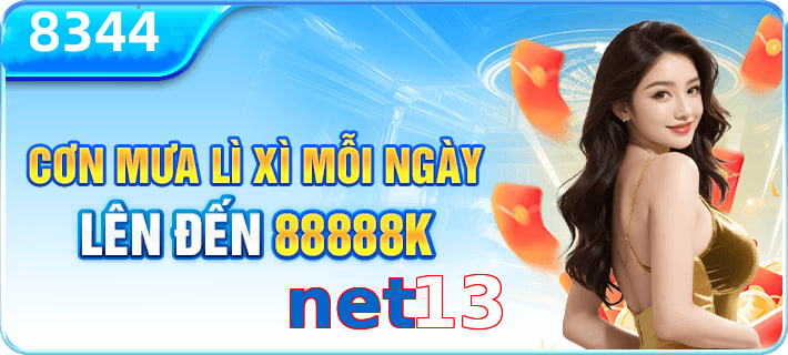 net13