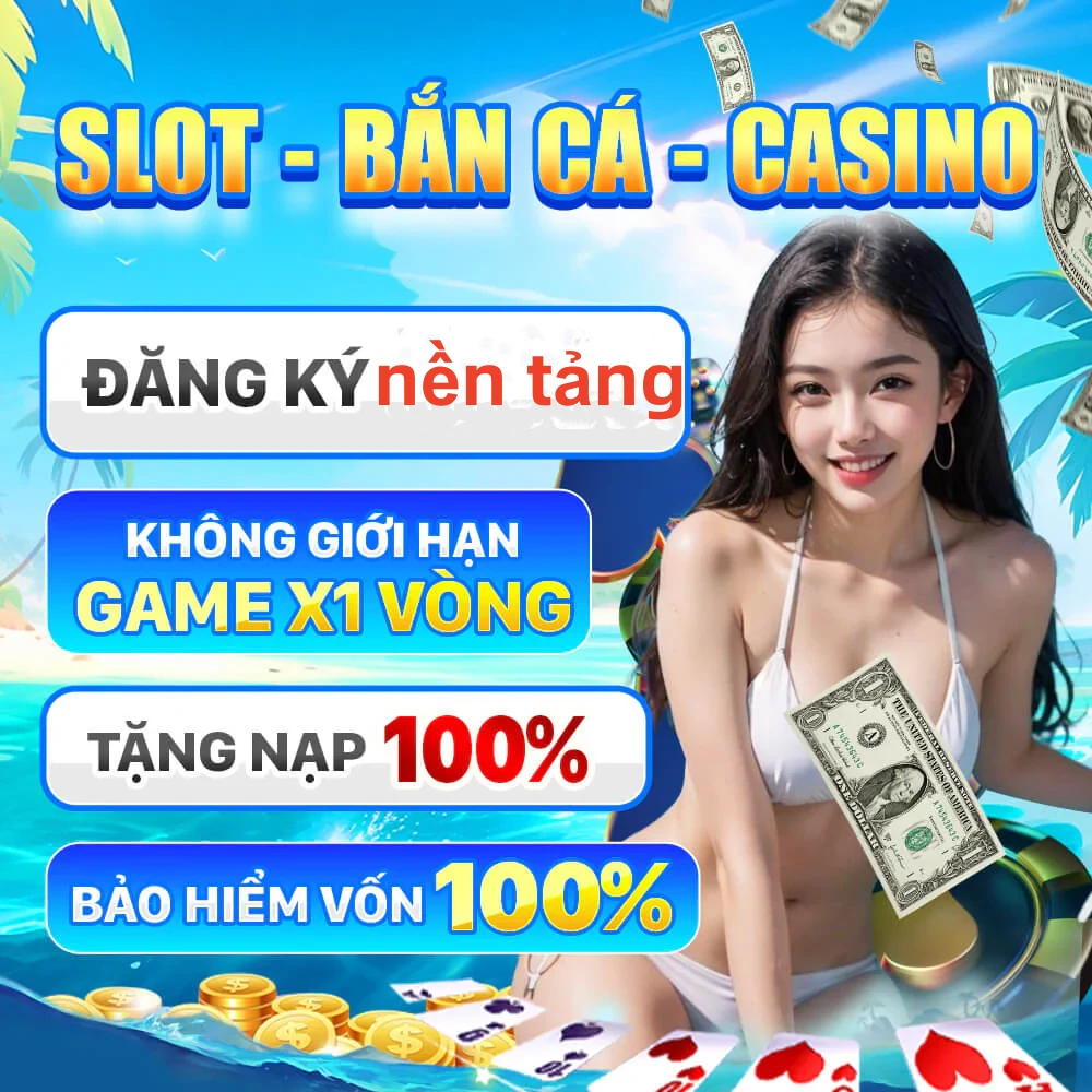 net13
