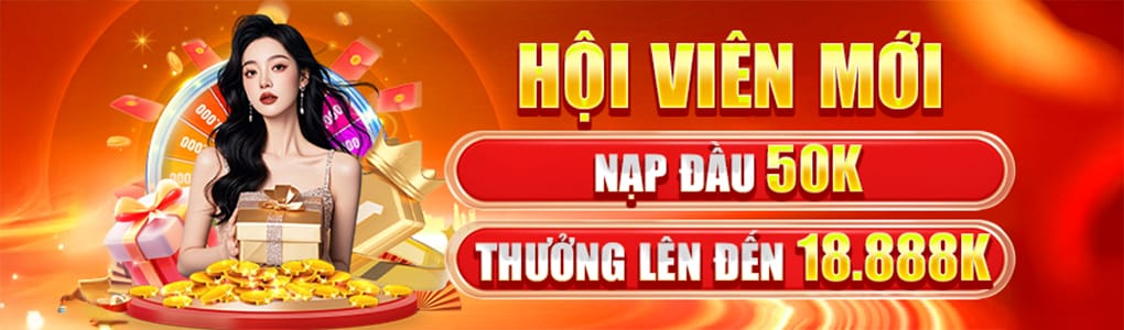 net13