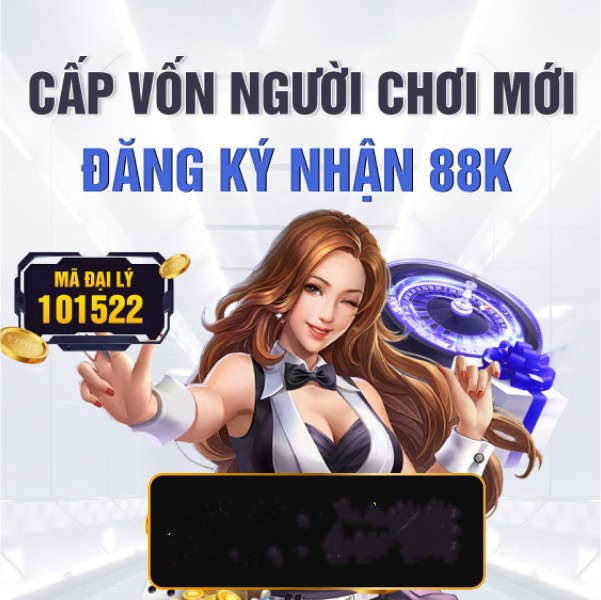 net13
