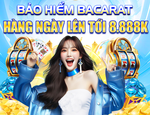 net13