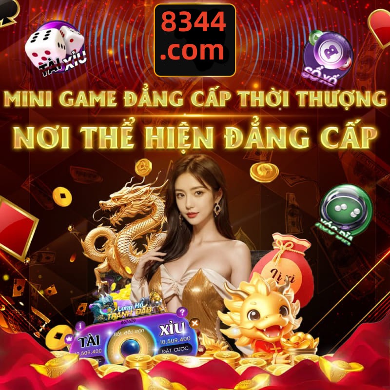 net13