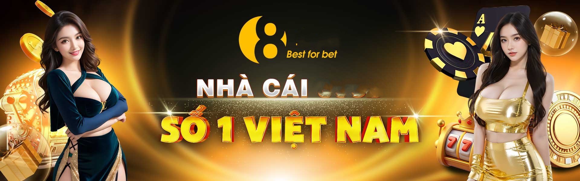 net13