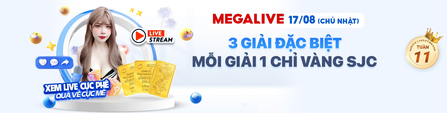 net13
