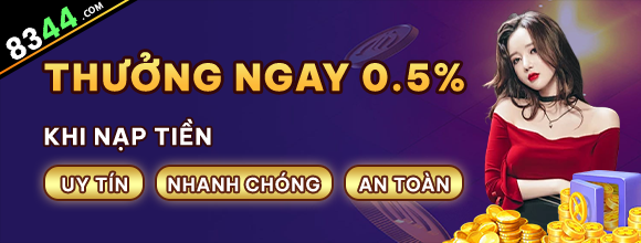 net13