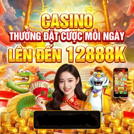net13