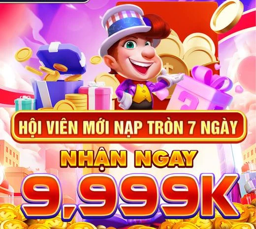 net13