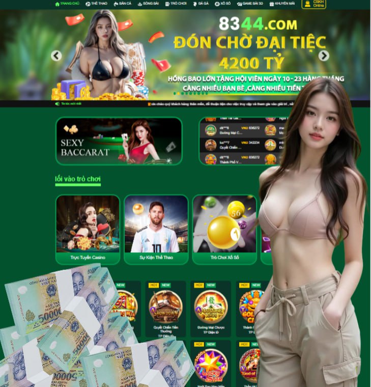 net13