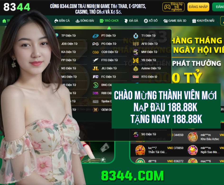 net13