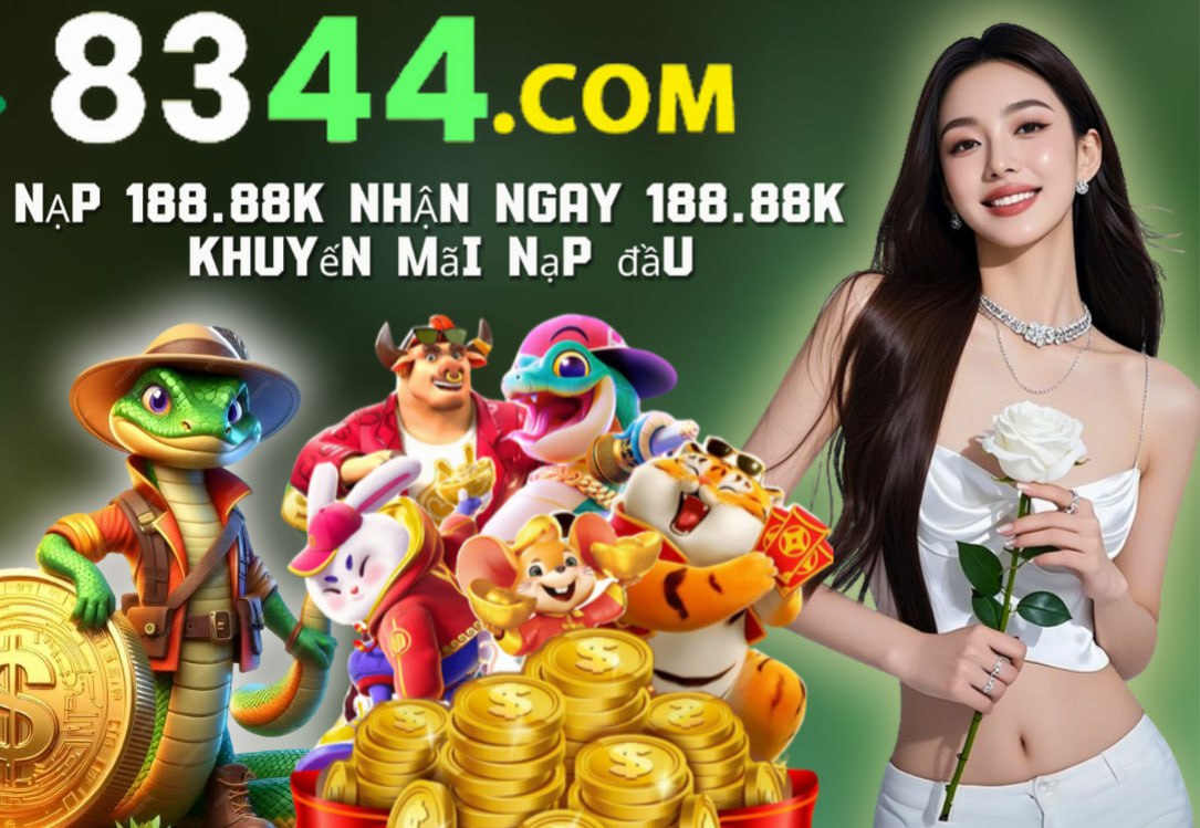 net13