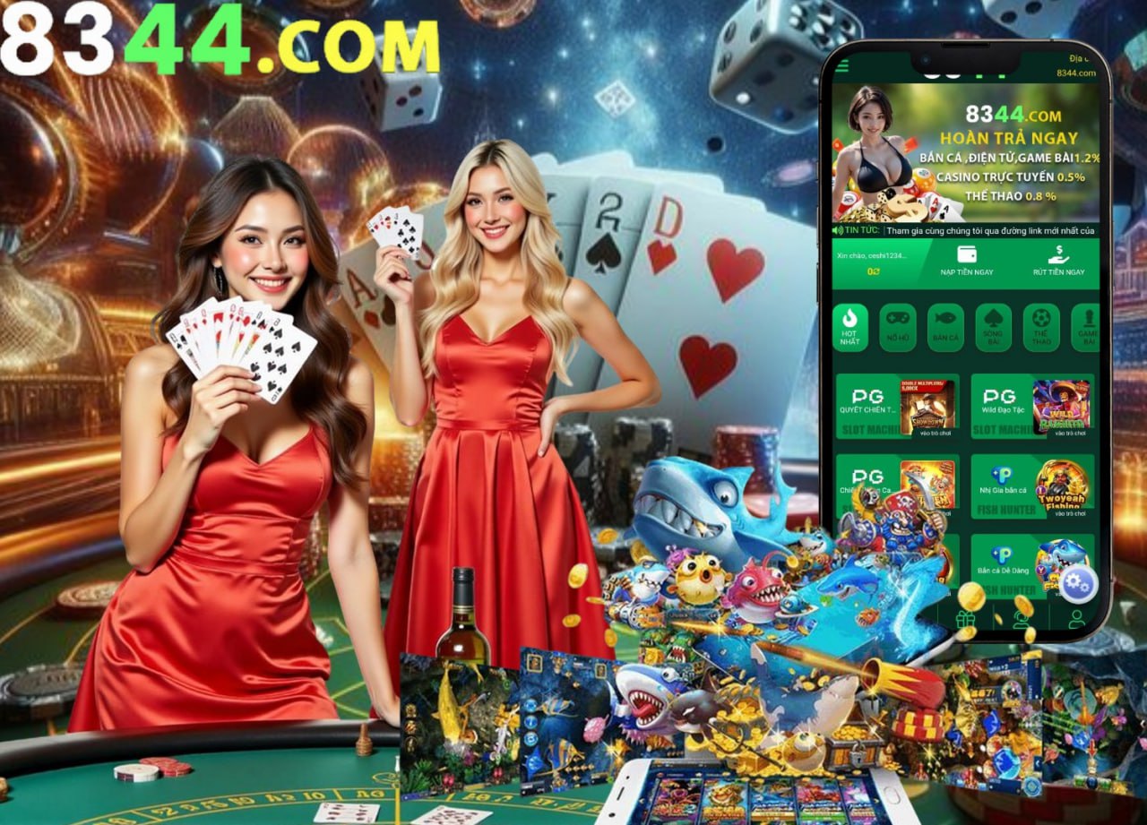 net13
