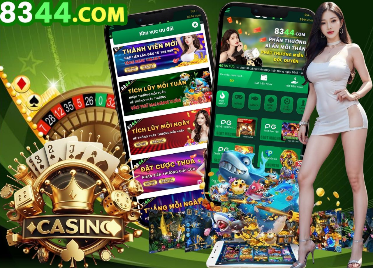 net13