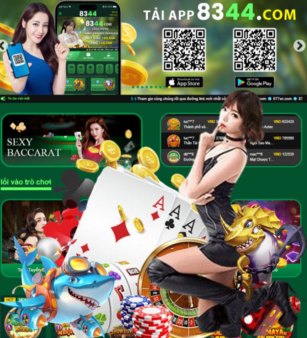 net13