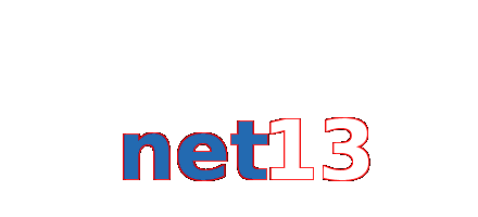 net13