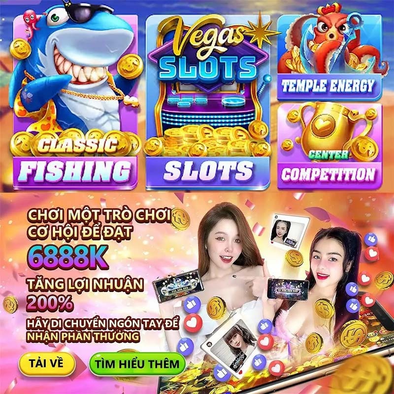net13