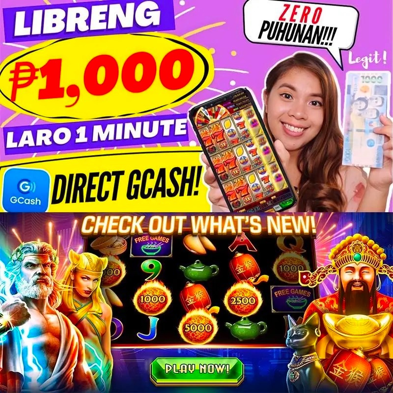 net13